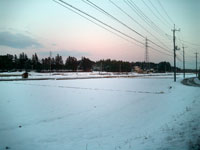 雪の田園